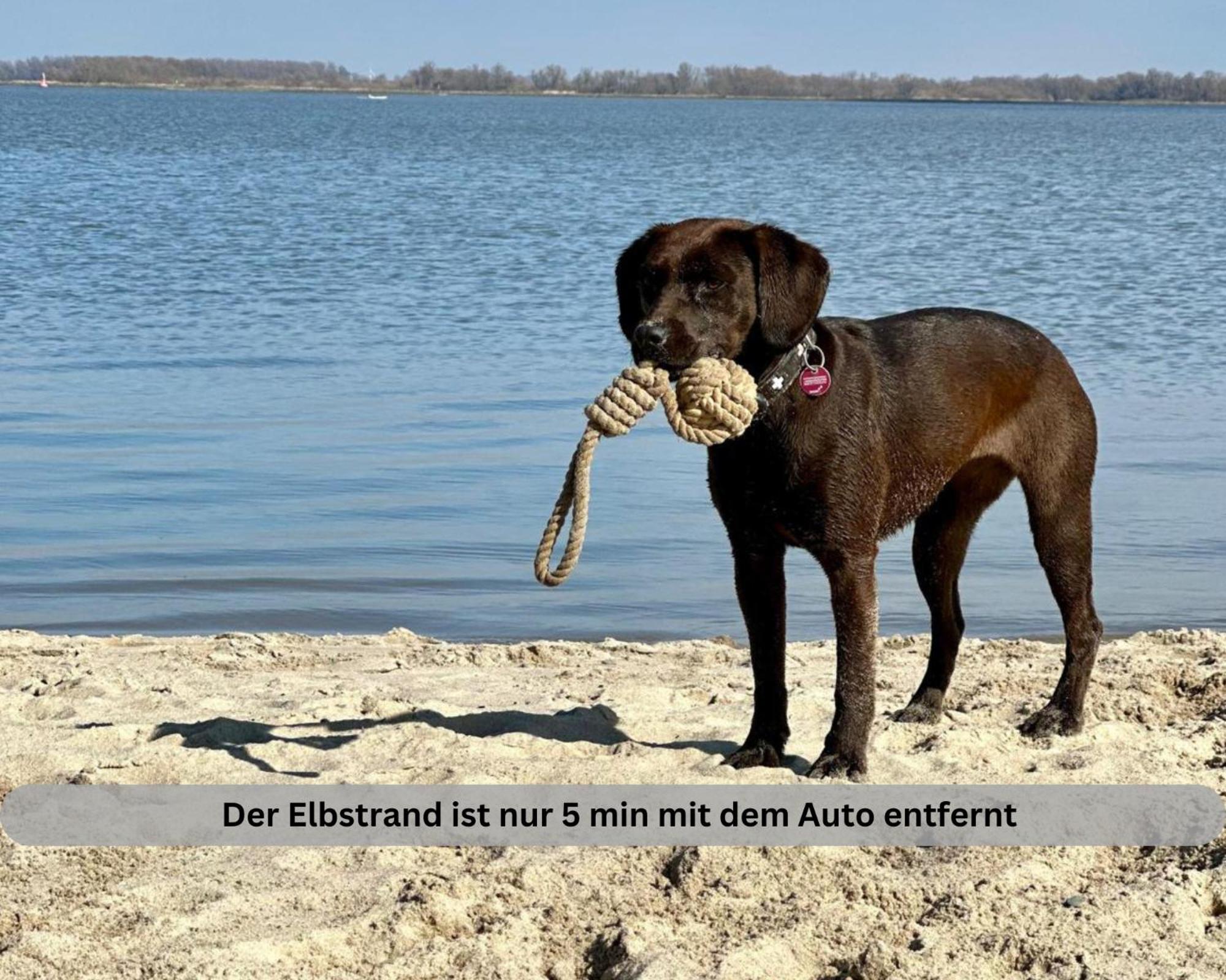 Lodge Of Africa - Einzigartige Themenzimmer, Eingezaeunten Garten, Sauna, Whirlpool & Kamin, Hunde Willkommen, Gasgrill, Voll Ausgestattete Kueche, Grosser Essbereich, Hamburg & Stade In Der Naehe Twielenfleth Екстериор снимка